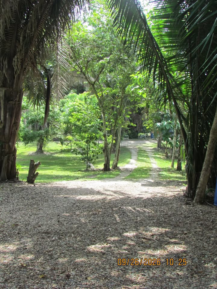 Garden path